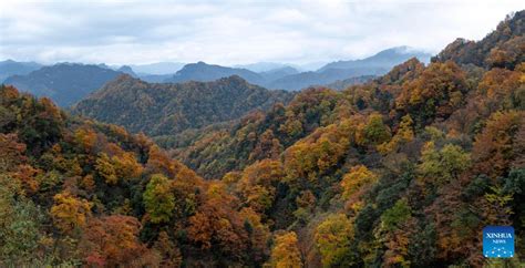 光霧山景區探秘：各盡其美之所在